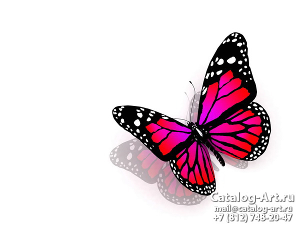  Butterflies 92